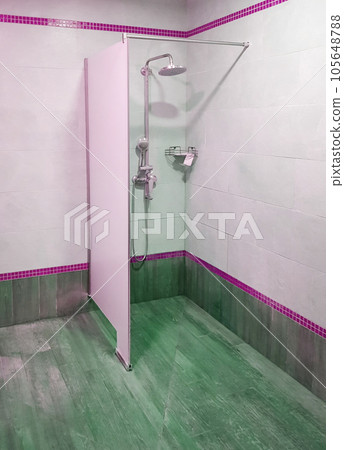 Shower with watering can and partition in the pool, modern interior 105648788