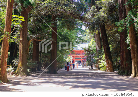 approach and gate 105649543