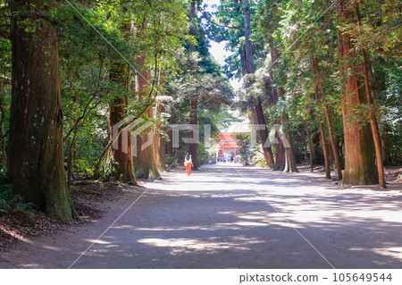 Kashima Jingu Shrine approach and tower gate 105649544