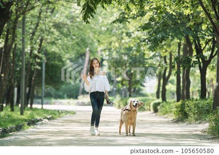 a happy young woman taking a walk with her dog in the park a happy young woman taking a walk with her dog in the park 105650580