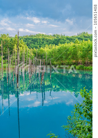 (Hokkaido) Summer Blue Pond (Hokkaido) Summer Blue Pond 105651408