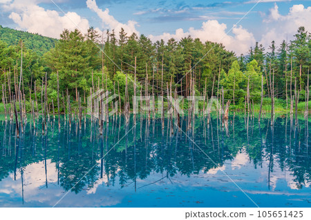 (Hokkaido) Summer Blue Pond 105651425