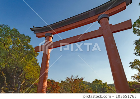Oita Usa Shrine Omotesando and Otorii Oita Usa Shrine Omotesando and Otorii 105651765