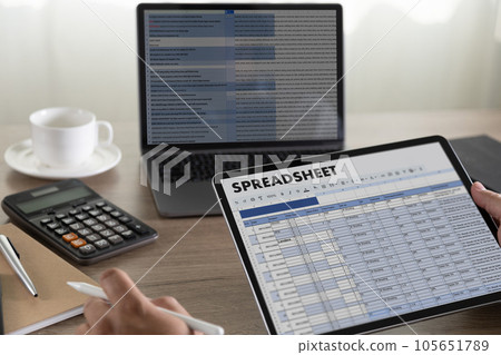 business financial Spreadsheet Document Information Data Analyst Statistics Spreadsheet On Computer 105651789