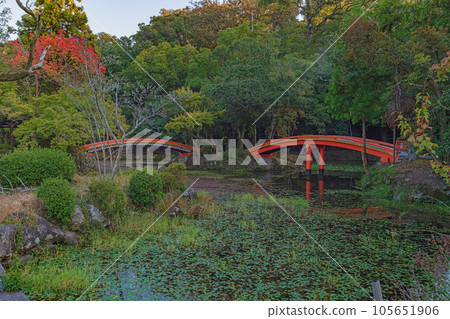 大分宇神宮 菱形池 太鼓橋 105651906
