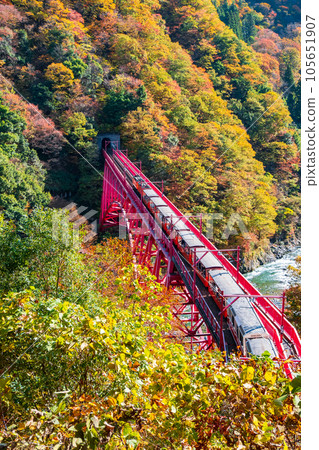 秋天的黑部峽谷:新山彥橋上行駛的小火車 秋天的黑部峽谷:新山彥橋上行駛的小火車 105651907