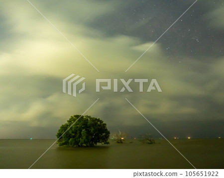 Sunrise twilight sky at sea beach with tree under sea water in morning Sunrise twilight sky at sea beach with tree under sea water in morning 105651922