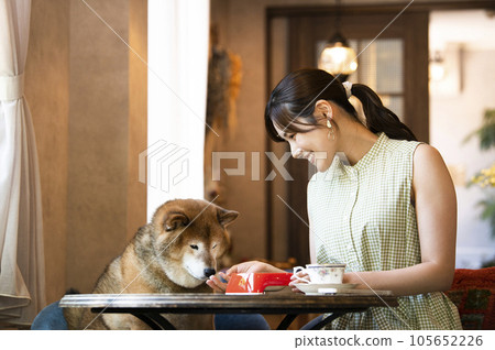 Young woman eating with her dog at a dock cafe Young woman eating with her dog at a dock cafe 105652226