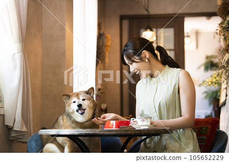 Young woman eating with her dog at a dock cafe 105652229