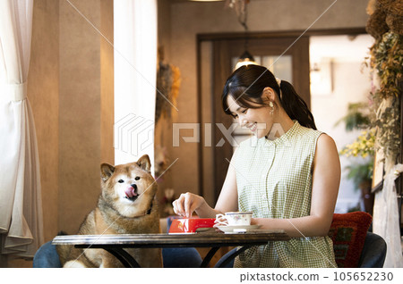 年輕女子和她的狗在碼頭咖啡館吃飯 105652230