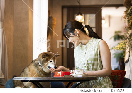 Young woman eating with her dog at a dock cafe Young woman eating with her dog at a dock cafe 105652233