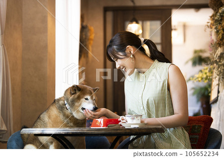 Young woman eating with her dog at a dock cafe Young woman eating with her dog at a dock cafe 105652234