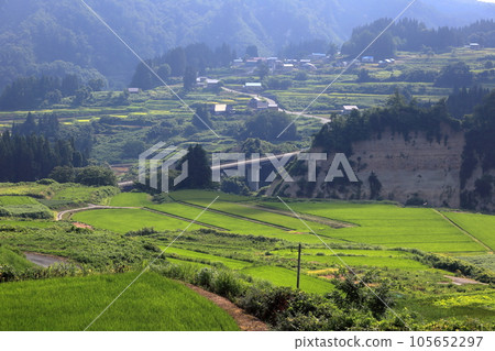 Yokkamura Terraced Rice Fields View from Observation Deck Yokkamura Terraced Rice Fields View from Observation Deck 105652297