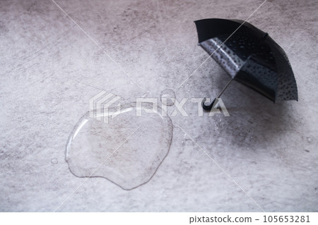 rain, puddle and umbrella 105653281