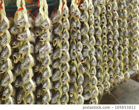 Dried fish 105653812