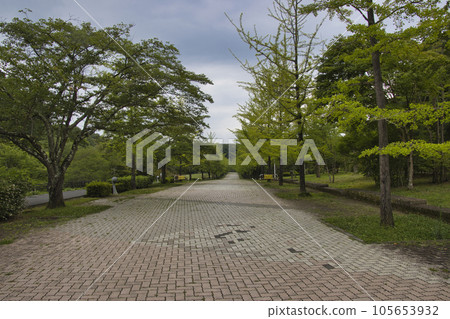 Chichibu Muse Park Ogano Town, Chichibu City, Saitama Prefecture 105653932