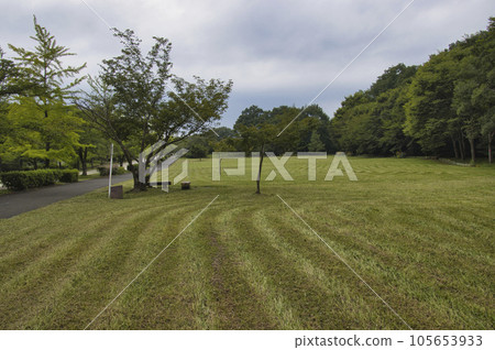 Chichibu Muse Park Lawn Square Ogano Town, Chichibu City, Saitama Prefecture Chichibu Muse Park Lawn Square Ogano Town, Chichibu City, Saitama Prefecture 105653933