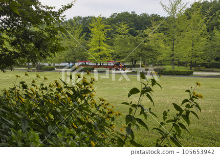 埼玉縣秩父市小鹿野町 秩父繆斯公園草坪廣場和空中公路列車 埼玉縣秩父市小鹿野町 秩父繆斯公園草坪廣場和空中公路列車 105653942