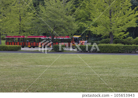 Chichibu Muse Park Lawn Square and Sky Road Train Ogano Town, Chichibu City, Saitama Prefecture 105653943