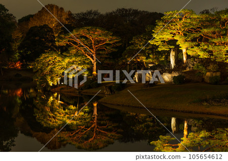 Autumn in Tokyo Komagome Rikugien Gardens Illuminated Autumn Leaves 105654612