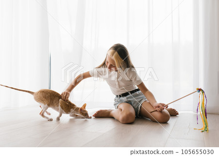 Caucasian teen girl sitting on the floor playing with a cat cornish rex with a stick teaser in the house Caucasian teen girl sitting on the floor playing with a cat cornish rex with a stick teaser in the house 105655030