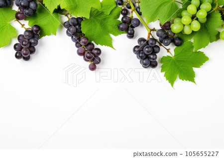 Black juicy grapes on white background. Autumn frame made of grapes. 105655227