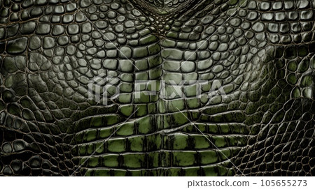 A crocodile skin texture background A crocodile skin texture background 105655273