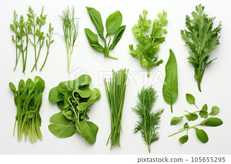 Collection of fresh herb leaves on white background. 105655295