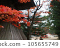 Scenery colored by autumn leaves in full bloom 105655749