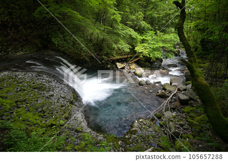 小毛瀑布的前衛瀑布和白川的水流（長野縣木曾郡木曾町） 105657288
