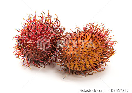 Rambutan, tropical fruit 105657812
