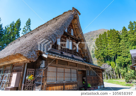 Gokayama, Toyama Prefecture Suganuma Gassho-zukuri Village in spring with cherry blossoms Gokayama, Toyama Prefecture Suganuma Gassho-zukuri Village in spring with cherry blossoms 105658397