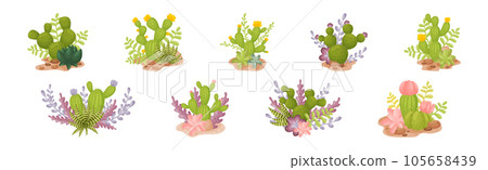 Cacti and Succulent Green Plant Growing in Desert Vector Set 105658439