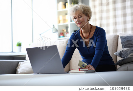 Portrait of aged woman working on computer at home 105659488