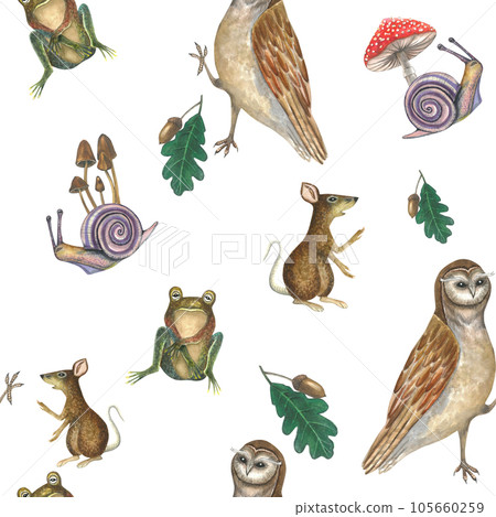 Watercolor illustration of an owl, snails, poisonous mushrooms, a rat and a frog on a transparent background. Seamless pattern for design hand drawn 105660259