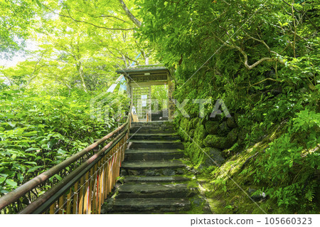 嵐山遊彩亭通往入口的石階 新鮮的綠色季節 嵐山遊彩亭通往入口的石階 新鮮的綠色季節 105660323