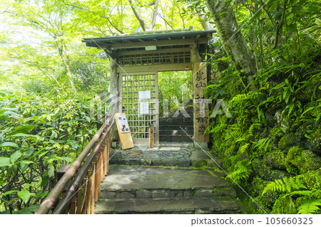 Arashiyama Yusaitei Stone steps leading to the entrance Fresh green season Arashiyama Yusaitei Stone steps leading to the entrance Fresh green season 105660325