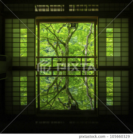 Arashiyama Yusaitei Beautiful reflection Season of fresh greenery Arashiyama Yusaitei Beautiful reflection Season of fresh greenery 105660329