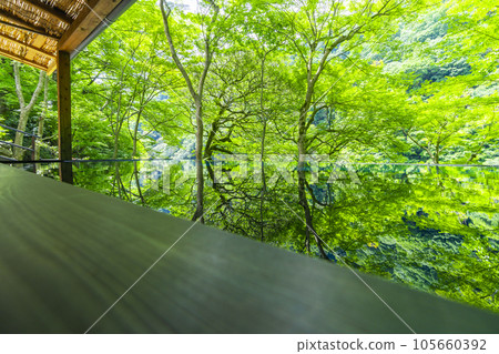 Arashiyama Yusaitei Mizukagami Fresh green season Arashiyama Yusaitei Mizukagami Fresh green season 105660392