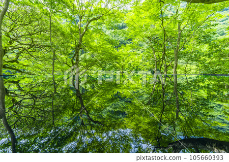 Arashiyama Yusaitei Mizukagami Fresh green season Arashiyama Yusaitei Mizukagami Fresh green season 105660393
