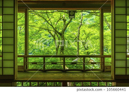 Arashiyama Yusai-tei, a superb view from the tea room, the season of fresh greenery Arashiyama Yusai-tei, a superb view from the tea room, the season of fresh greenery 105660441