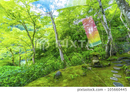 嵐山遊彩亭 美麗的庭園 綠意盎然的季節 105660445