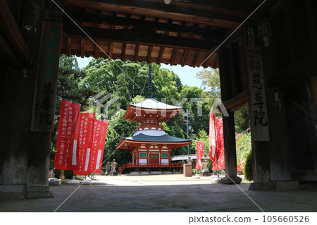 和歌山地尊院 和歌山地尊院 105660526