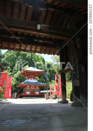 Wakayama Jison-in Temple Wakayama Jison-in Temple 105660527