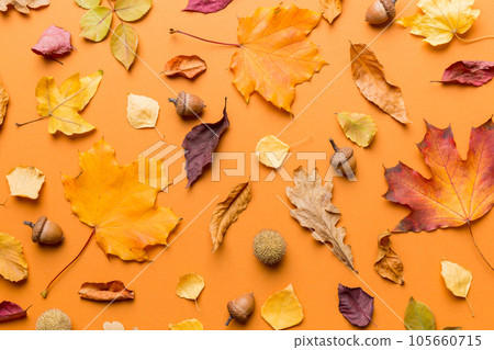 Autumn composition. Pattern made of dried leaves and other design accessories on table. Flat lay, top view Autumn composition. Pattern made of dried leaves and other design accessories on table. Flat lay, top view 105660715