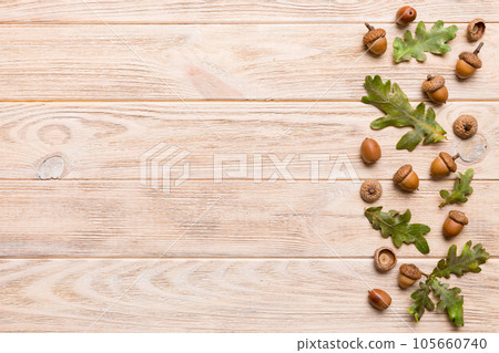 Branch with green oak tree leaves and acorns on colored background, close up top view 105660740