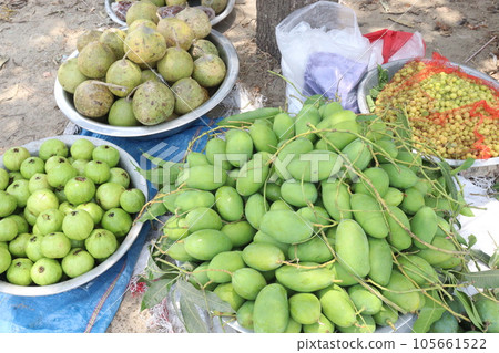 multiple fruit with Limonia Acidissima guava raw mango otaheite gooseberry multiple fruit with Limonia Acidissima guava raw mango otaheite gooseberry 105661522