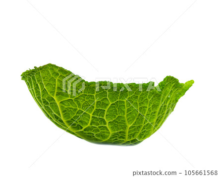 Savoy cabbage leaf isolated on white background 105661568