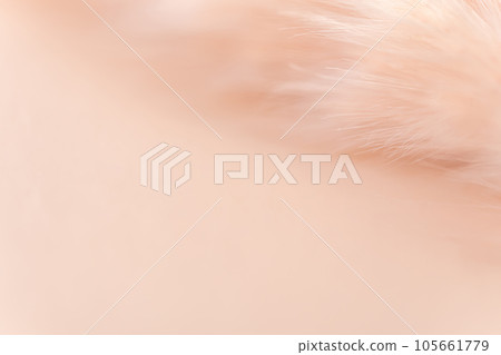 Fluffy and warm background material 105661779