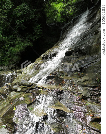 千葉縣大瀧町養老谷的萬代瀑布 千葉縣大瀧町養老谷的萬代瀑布 105661835